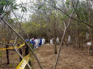Especialistas y buscadores de personas desaparecidas afinan método para localizar fosas mediante flores y animales