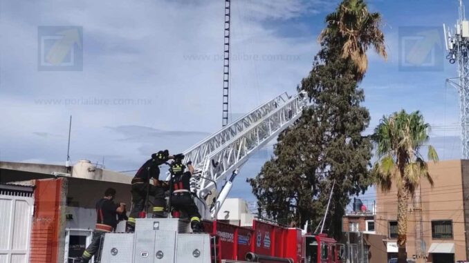 Bomberos retiran pino caído sobre vivienda y tendido eléctrico en colonia Mirador