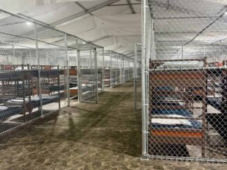 Sheinbaum exigirá que mexicanos detenidos en EE.UU. no pisen ‘ Alligator Alcatraz ‘