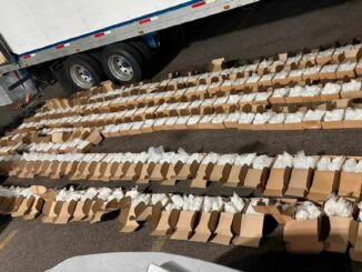 Detienen en Baja California Sur a un hombre que transportaba más de una tonelada de metanfetamina