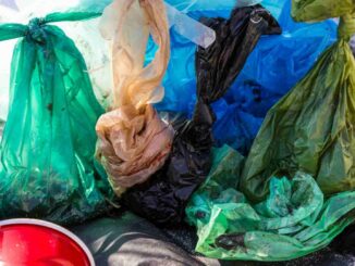 Greenpeace México insta al Senado a prohibir los plásticos de un solo uso en el país