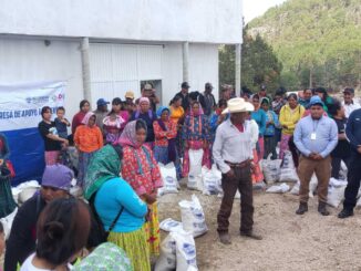 Entrega Estado más de 15 toneladas de alimento en comunidades de la región serrana