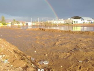 Emiten reporte de incidencias por lluvias durante las últimas horas
