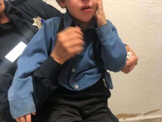 Buscan a familia de niño de 4 años extraviado en la avenida Insurgentes