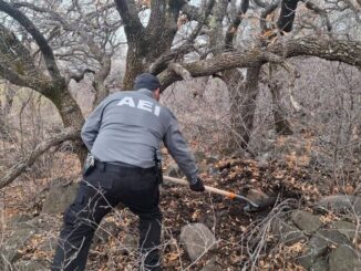 Continúa FGE Occidente labores de rastreo en La Noria de Aldana