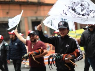 Marchan en la CDMX a favor de las peleas de gallos y las corridas de toros