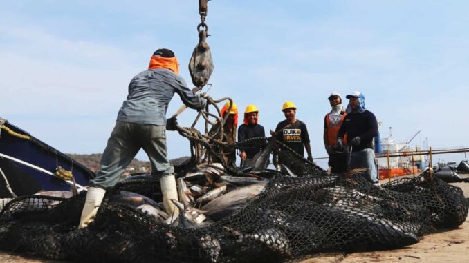 Marina se une a la celebración del “Día de la Gente de Mar”