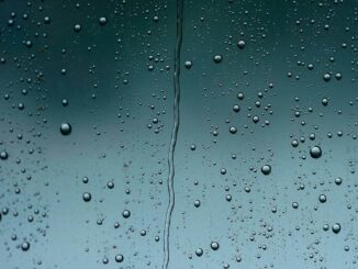 Temporal de lluvias se mantendrá en gran parte de México hoy 24 de junio; estos son los estados más afectados