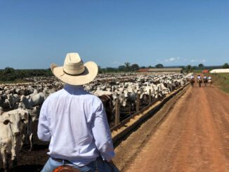 Abre SDR convocatoria para apoyos en capacitación a ganaderos de Chihuahua