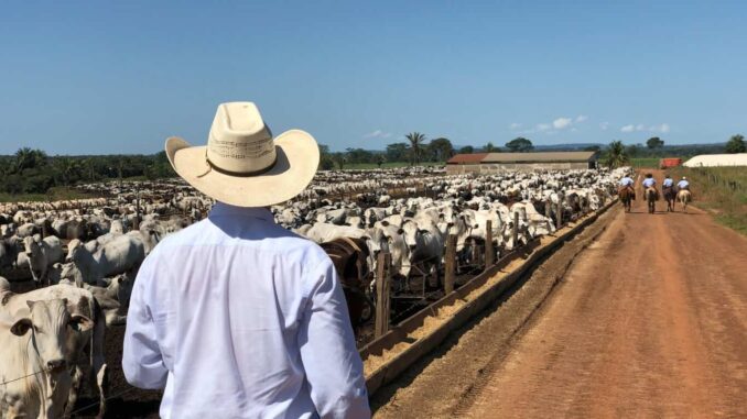 Abre SDR convocatoria para apoyos en capacitación a ganaderos de Chihuahua