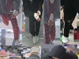 Arrestan a hombre con marihuana y lo vinculan a 11 asaltos