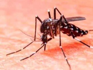 Salud presenta Plan Nacional contra Dengue; van 18 muertes en lo que va de 2025