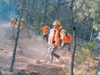 Bajo control el único incendio forestal activo en el estado