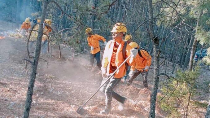 Bajo control el único incendio forestal activo en el estado