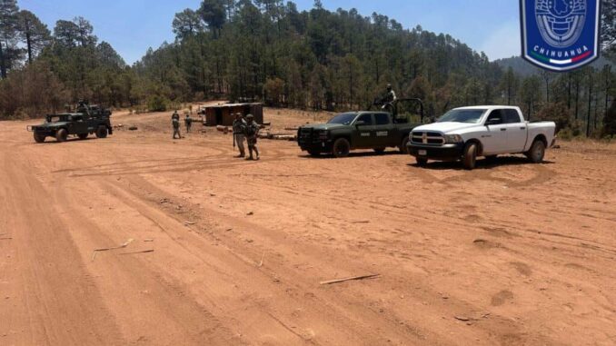 Participa Fiscalía Zona Sur en operativos para combatir delitos ambientales en Guachochi