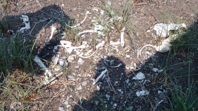 Colectivo localiza «campo de exterminio» en Tamaulipas