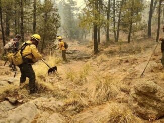 Se integran 30 brigadistas de otros estados al combate de incendios forestales en Chihuahua
