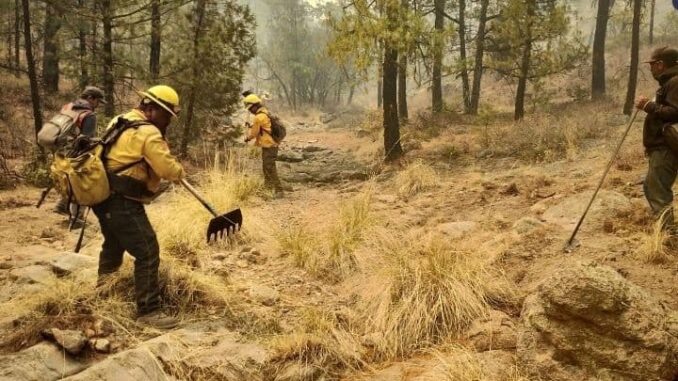 Se integran 30 brigadistas de otros estados al combate de incendios forestales en Chihuahua