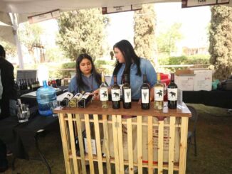 Celebran tercera edición del Food & Wine Festival 2025