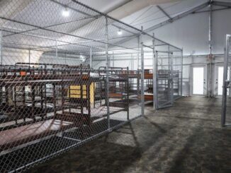 Migrantes describen un infierno en el centro de detención ‘Alligator Alcatraz’