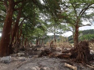 Texas iza las banderas a media asta en honor a los más de cien muertos tras inundaciones