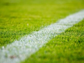 Dos mexicanos y un costarricense castigados por tentativa de amaño en fútbol de Costa Rica