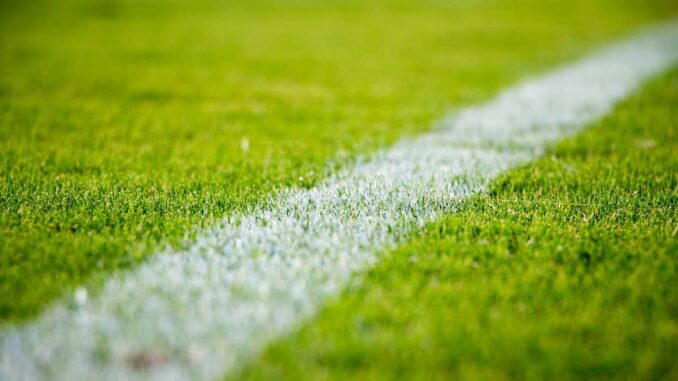 Dos mexicanos y un costarricense castigados por tentativa de amaño en fútbol de Costa Rica