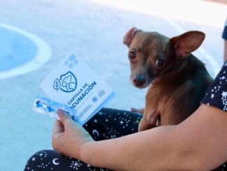 Invita Municipio a vacunar y desparasitar mascotas desde tu auto en Polideportivo