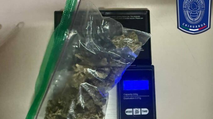 Asegura Célula BOI una motocicleta y diversos narcóticos en Parral