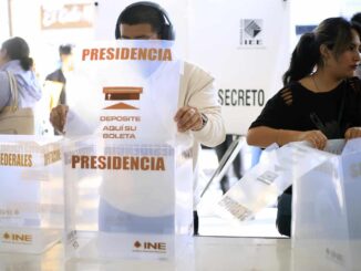 ¿Cuándo se realizarán las encuestas y sus resultados?
