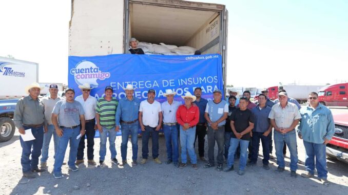 Entregan 33 toneladas de maíz rolado a porcicultores y ganaderos de Camargo