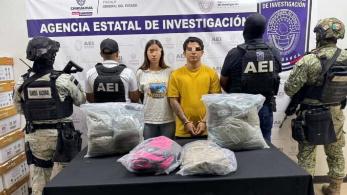 Detiene COE a pareja con 5 kilos de marihuana en la colonia Versalles