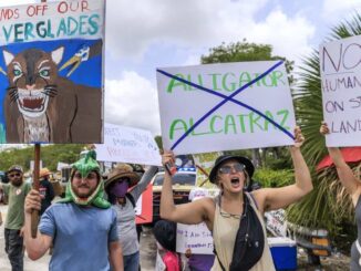 México atiende a 81 connacionales recluidos en ‘Alligator Alcatraz’ en EE.UU.