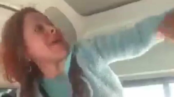 «Lady Combi» se viraliza por insultar a pasajeros en la autopista México-Puebla