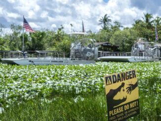 Everglades, de oasis de naturaleza a desafío del centro migratorio ‘Alligator Alcatraz’