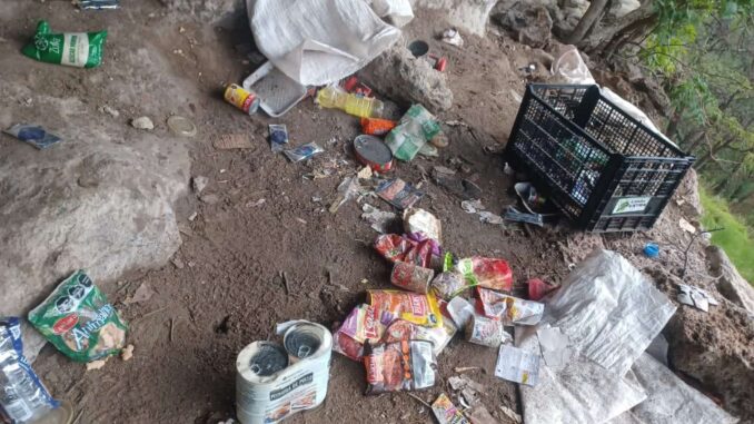 Destruye operativo conjunto campamento en Moris