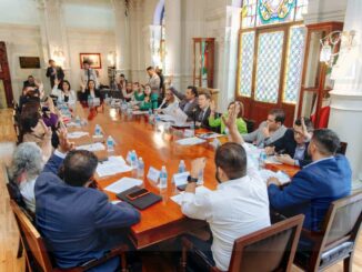 Aprueba Cabildo reglamentos y protocolos de protección animal