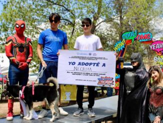 Encuentran hogar 17 perros en programa del Municipio “Adopta como Héroe”