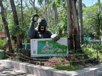 Investigan presunto robo de cocodrilo en zoológico de Veracruz