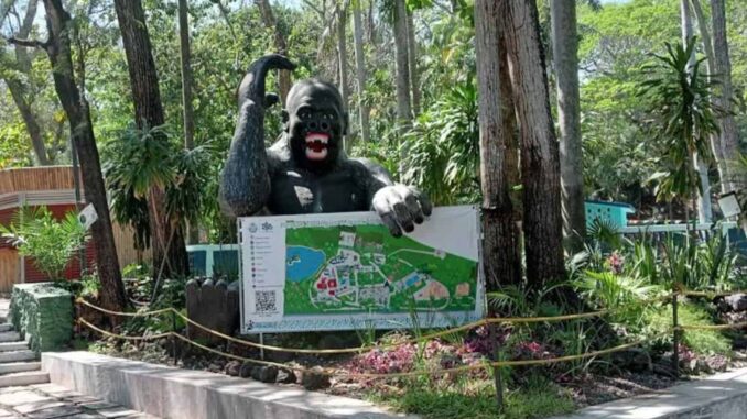 Investigan presunto robo de cocodrilo en zoológico de Veracruz