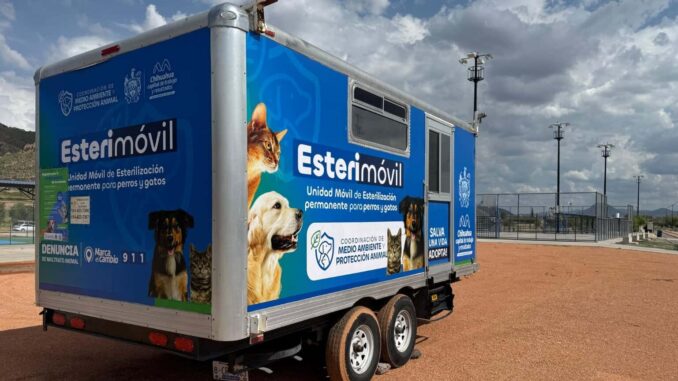 ¿Quieres esterilizar a tu mascota? Agenda cita en el Esterimóvil de Municipio