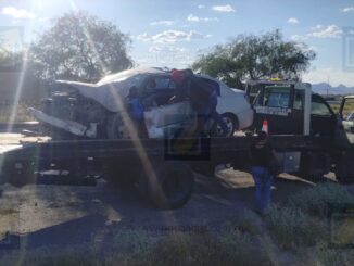 Conductor pierde el control y se estrella contra un árbol rumbo al Cereso