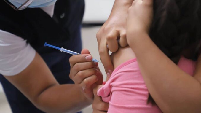 Temen reemergencia de sarampión y tos ferina en México