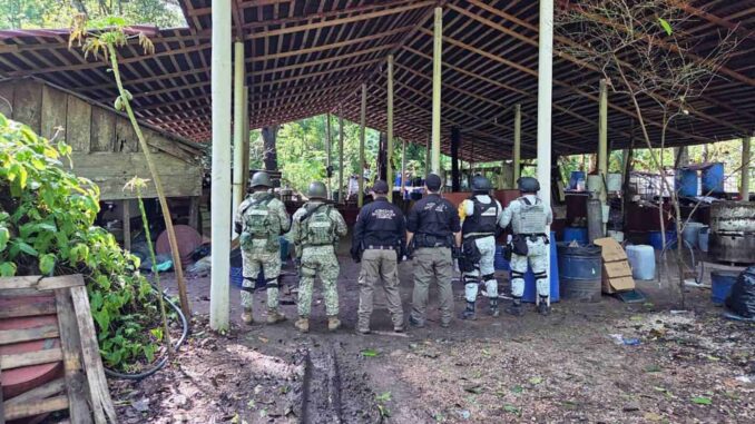Inhabilitan laboratorio en Palenque, Chiapas; aseguran 900 kilogramos de metanfetaminas