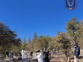 Identifica FGE otro cuerpo masculino localizado en fosa de ‘El Willy’