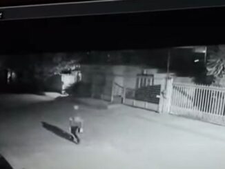 Buscan al sujeto que prendió fuego a perrito tras rociarlo con gasolina en la Villa Juárez