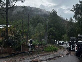 Saquean e incendian viviendas en comunidad de Guadalupe y Calvo 