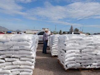 Entregan fertilizante subsidiado a productores de Camargo y continúa apoyo en Jiménez