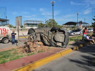 Pierde el control y termina estrellada contra un pino