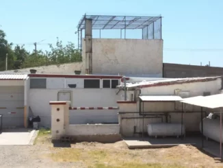 Suman 27 personas identificadas por el caso ‘Plenitud’